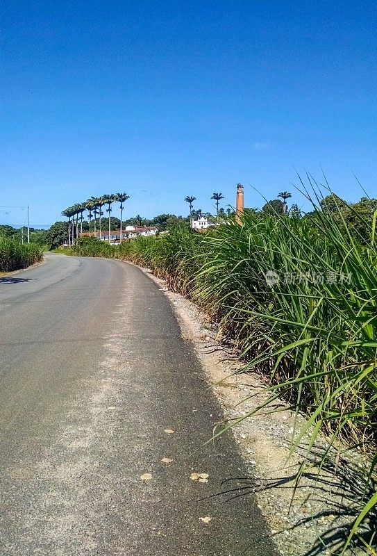 这条路蜿蜒穿过巴西的田野