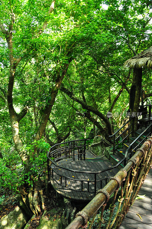 海南的Yanoda雨林