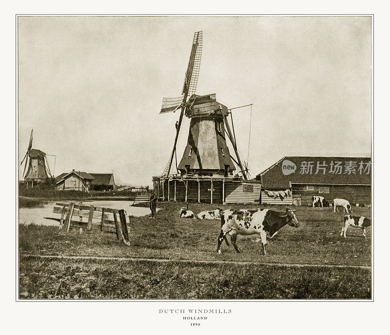 荷兰风车，荷兰，古董荷兰照片，1893