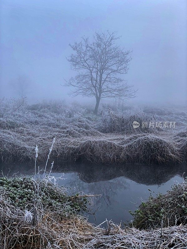 冬天的早晨在公园里