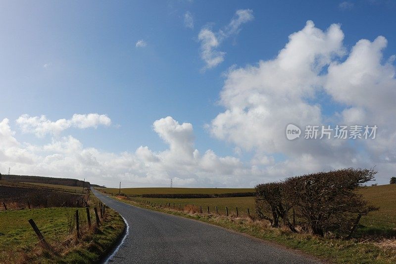 云朵和蓝天映衬着乡村公路的空间