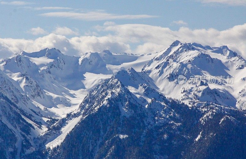 奥林匹克国家公园里的卡丽山