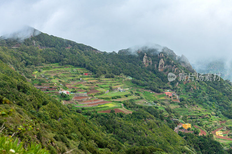 美丽的山谷在加那利岛，阿纳加公园，特内里费，西班牙