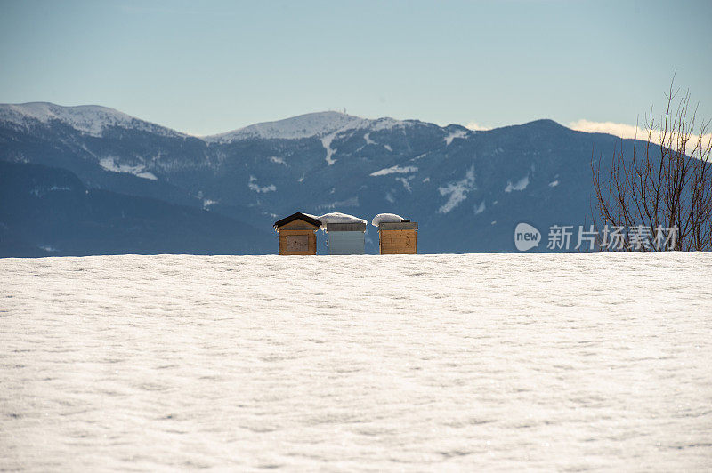 特伦蒂诺的雪