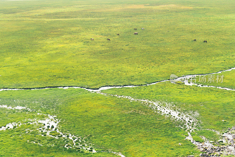美丽的中国新疆巴音布鲁克草原