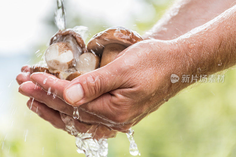 近距离的男人在户外的自来水下清洗牛肝菌