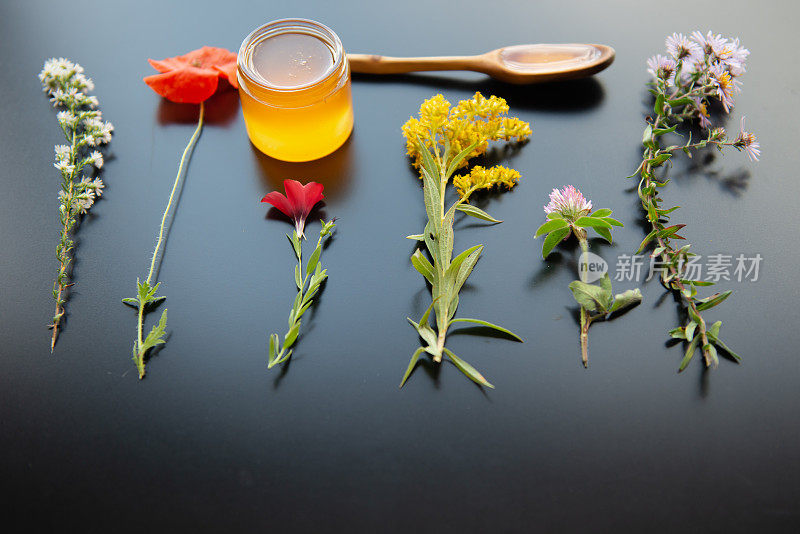 野花和蜂蜜的肖像