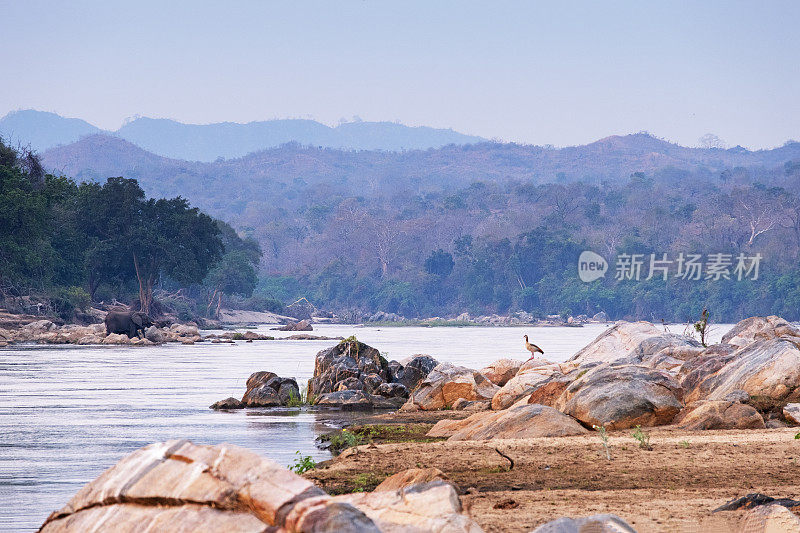 马拉维马吉特野生动物保护区的夏尔河景观