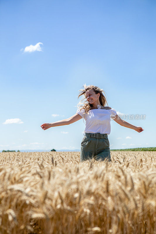 麦子里的金发女人