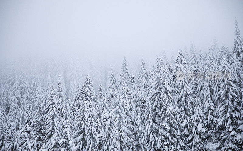 胡德山国家森林冬季降雪。