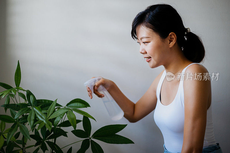 年轻的亚洲女子在室内浇灌植物