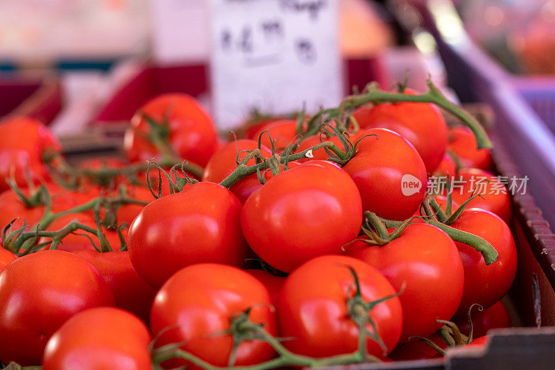 有机番茄在农贸市场展出