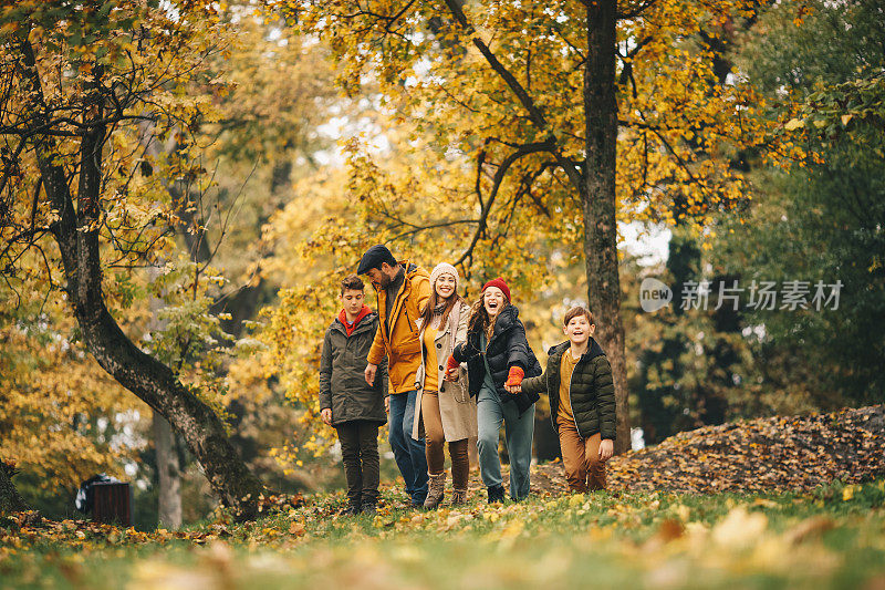 年轻的一家人手牵着手，走在秋天的森林里。