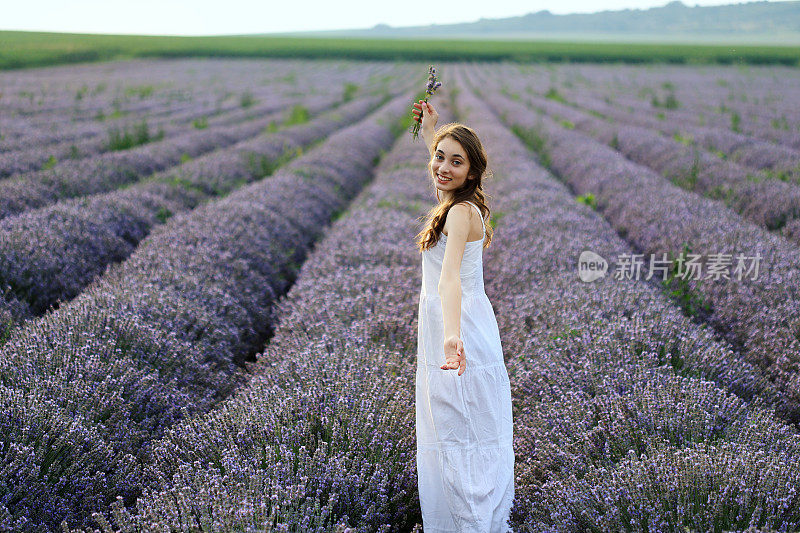 小姑娘在薰衣草地里