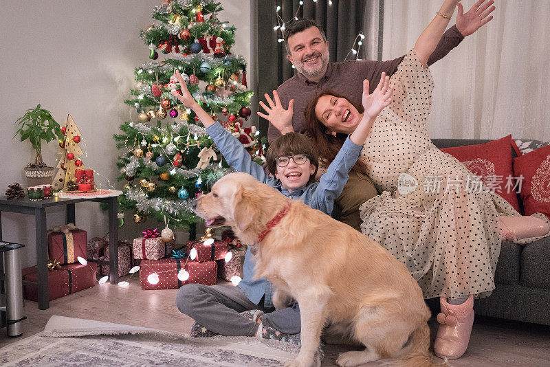 幸福家庭和金毛狗在家里过圣诞节。