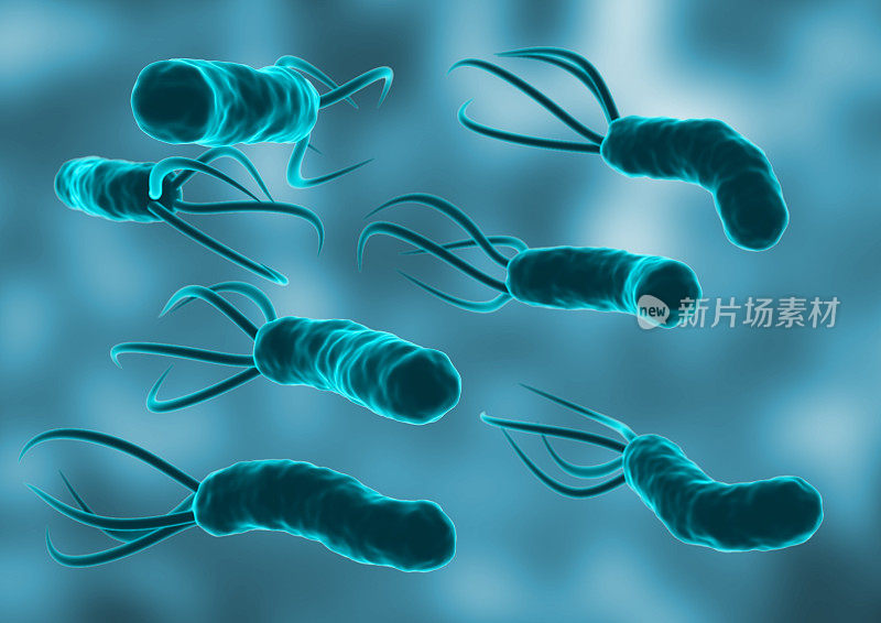 幽门螺杆菌的微观环境。是一种细菌，寄生在人类的胃里。