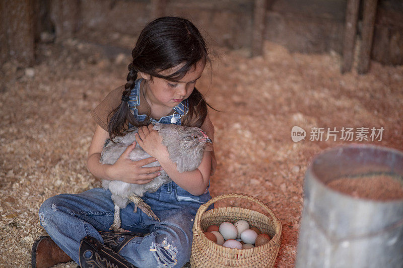 年轻的女孩在她的鸡笼里抱着她的鸡
