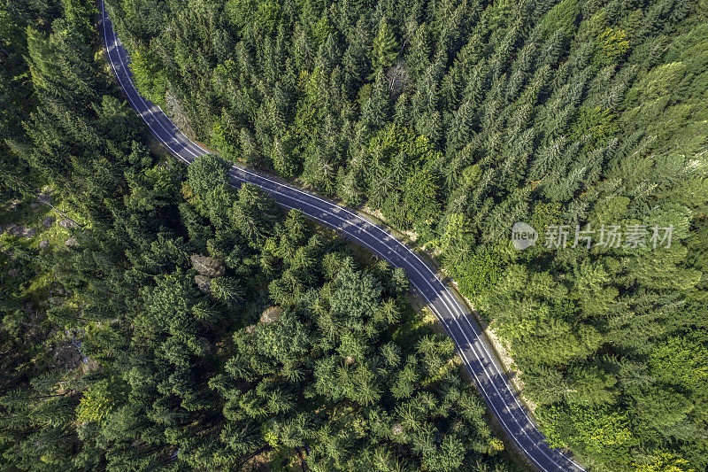 鸟瞰绿色森林中的山路