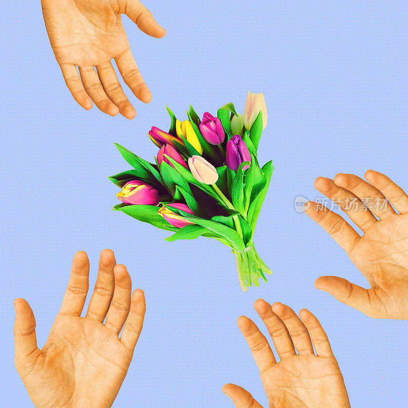 当代最小艺术拼贴画。手和一束郁金香。恭喜，国际妇女节概念