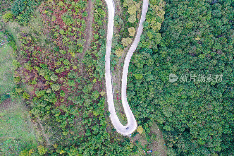 蜿蜒的道路。穿过森林的田园诗般的蜿蜒道路。