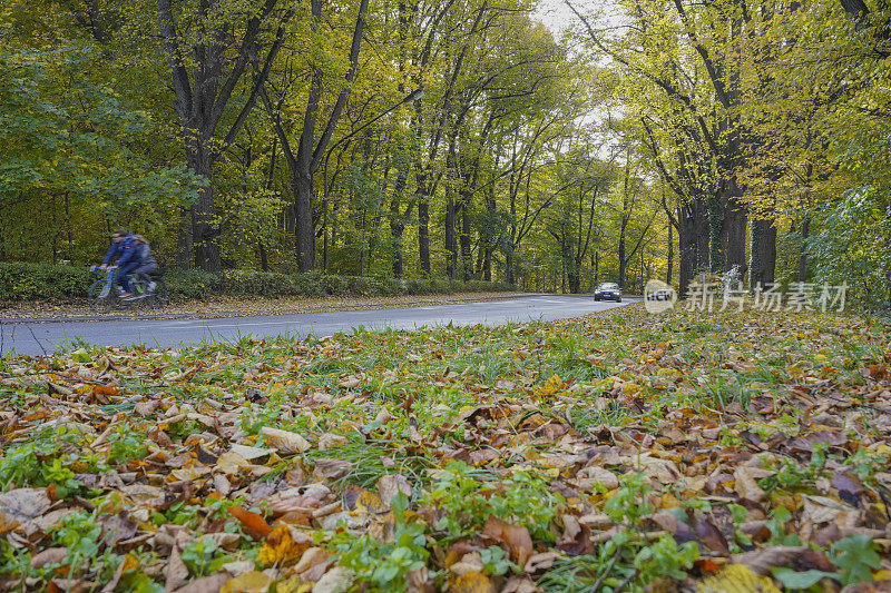 秋天的街道上有树木，多彩的树叶，模糊的汽车和骑自行车的人