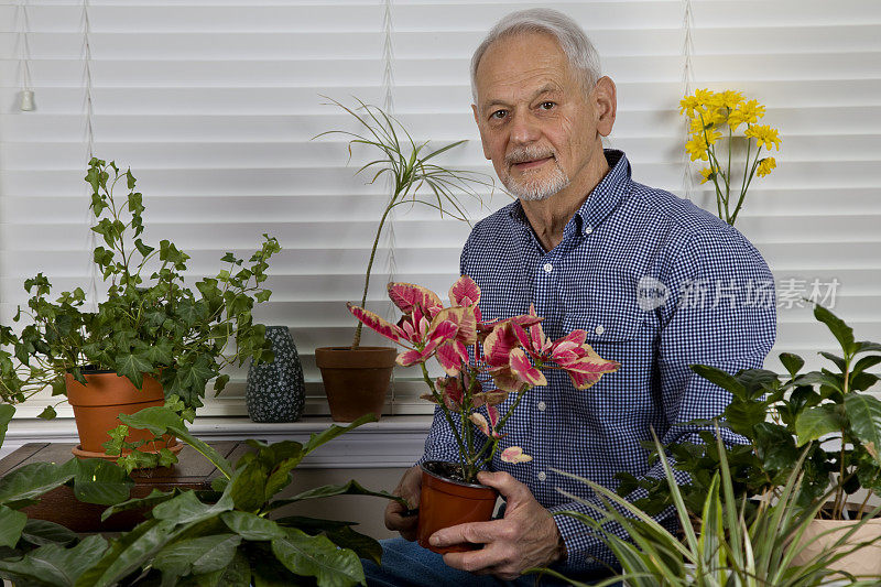 老人拿着室内植物