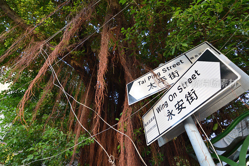 香港大澳渔村树下的路牌