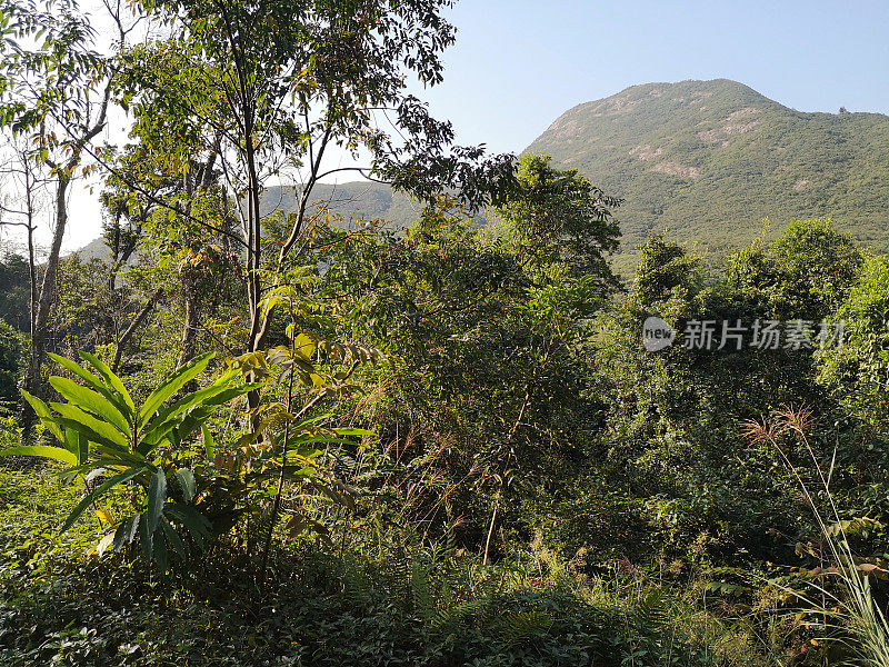 香港山高西