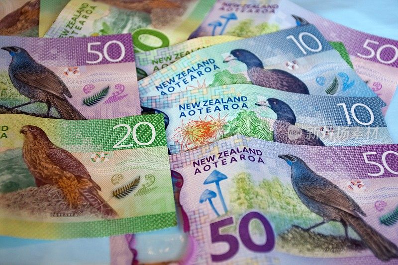 新西兰元纸币(NZD)背景