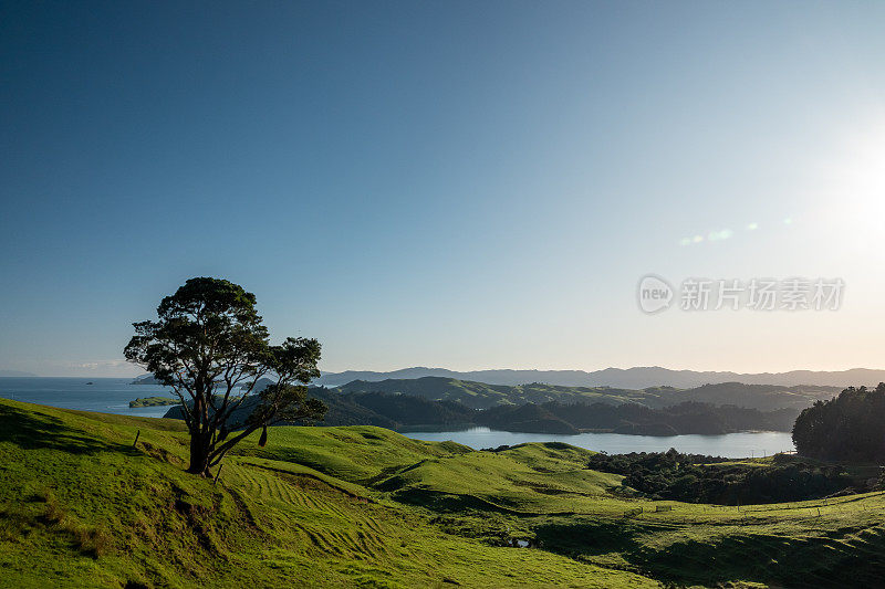 新西兰乡村