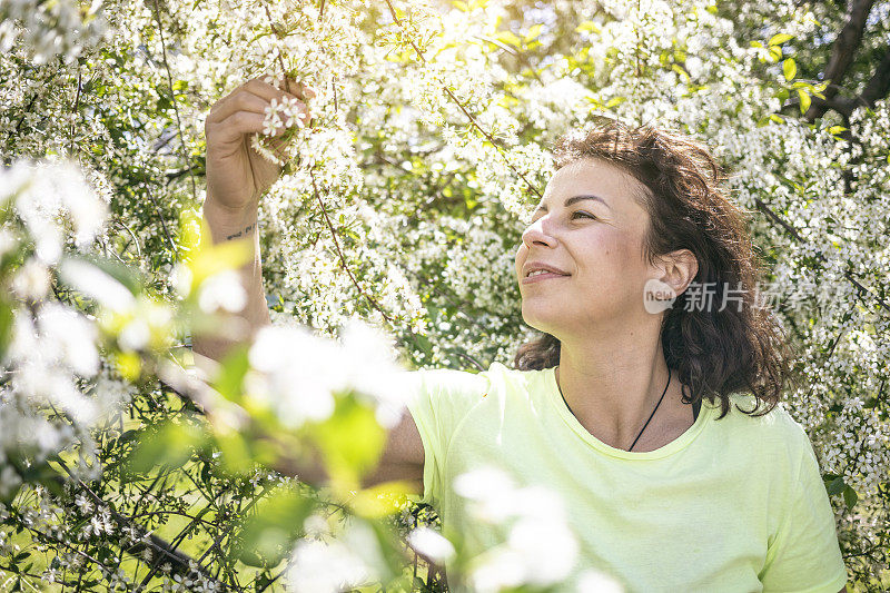 带着盛开的樱桃树的黑发女人