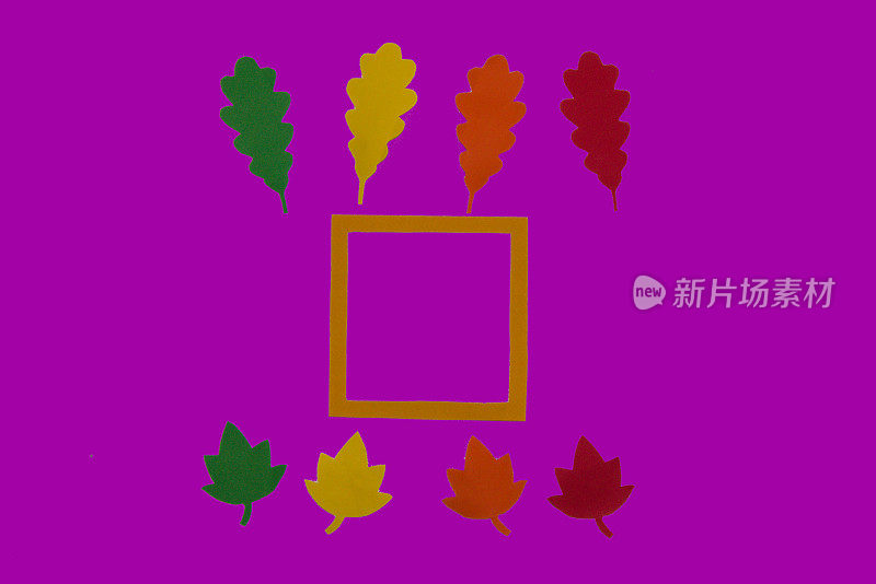 画框中间时髦的秋季紫色壁纸，上下画框五彩缤纷的秋叶，创意艺术的秋季设计，复制空间