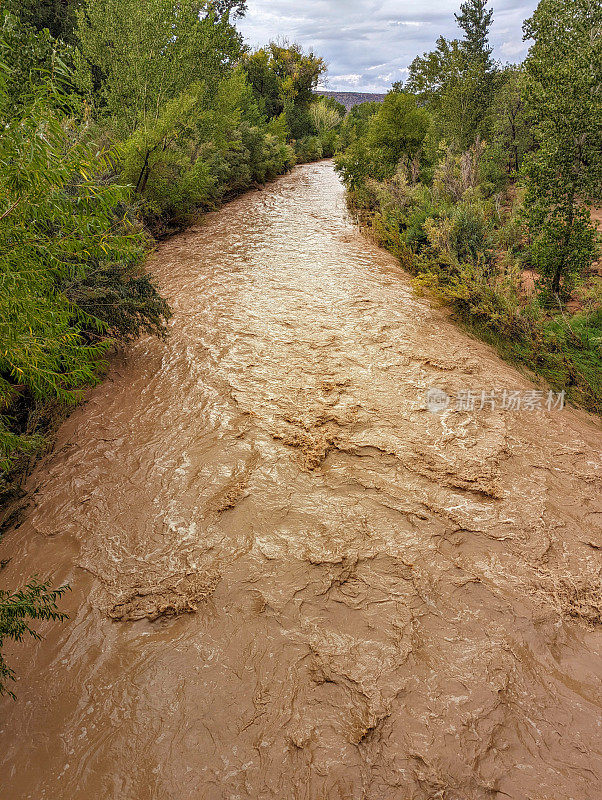 夏末，在犹他州罗克维尔的季风雨过后，洪水带着沉重的淤泥和泥浆从锡安国家公园的维珍河流下