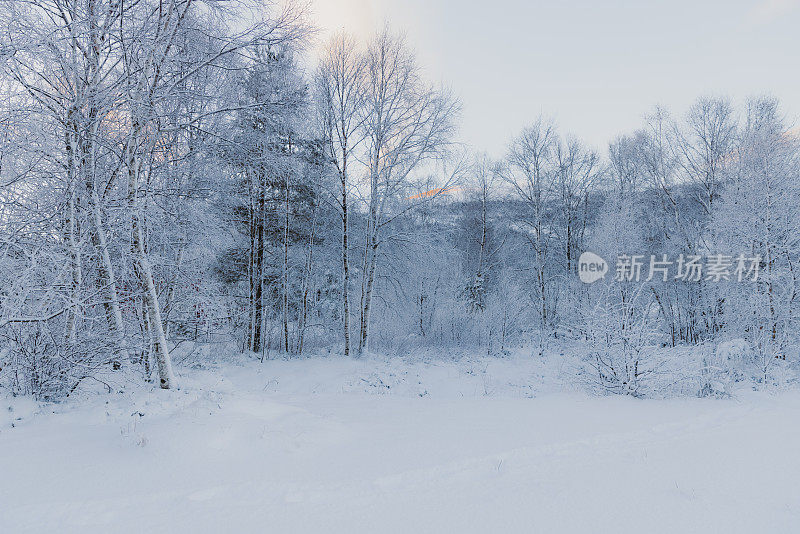 挪威的冬季童话