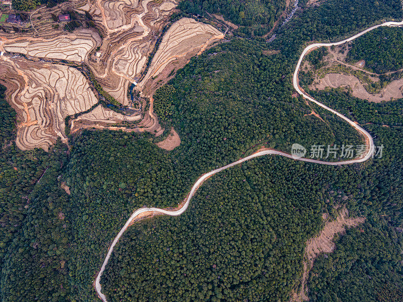 在森林间的道路上飞行