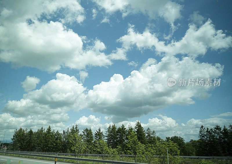 在日本北海道的树木地区，引人注目的云层