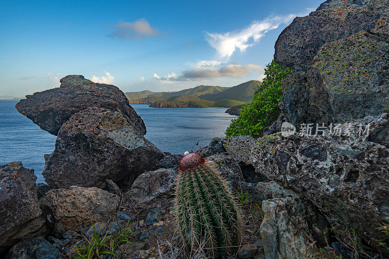 在美属维尔京群岛的热带加勒比海圣约翰岛上，从羊头峰俯瞰美丽幽静的盐池海滩的充满活力的日出