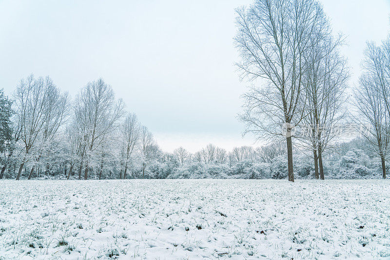 一个寒冷的早晨，本季的第一层雪