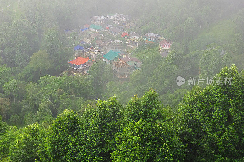 印度西孟加拉邦季风季节，在大吉岭山站附近的喜马拉雅山脉山坡上，多雾和多云的山村全景