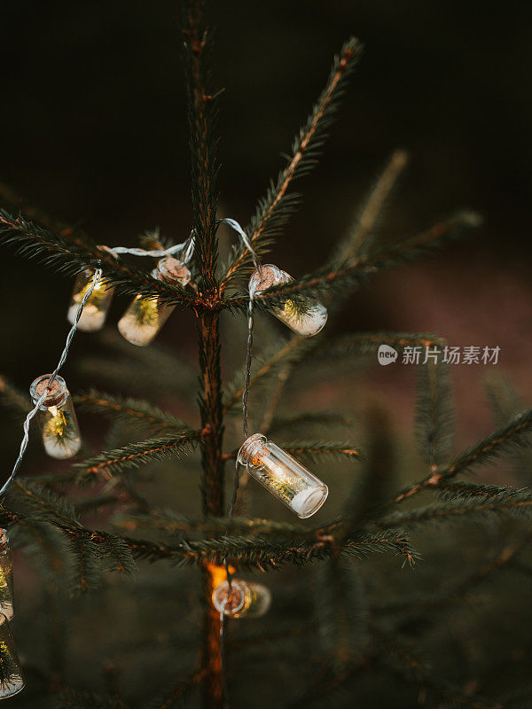 圣诞树上串着彩灯，在森林大自然中营造出温馨的气氛