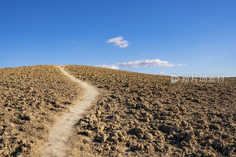 托斯卡纳的风景:标志性的皮恩扎乡村