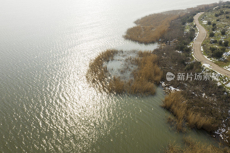 鸟瞰芦苇和湖泊