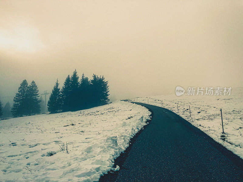 小路在满是雪和杉树的山上。