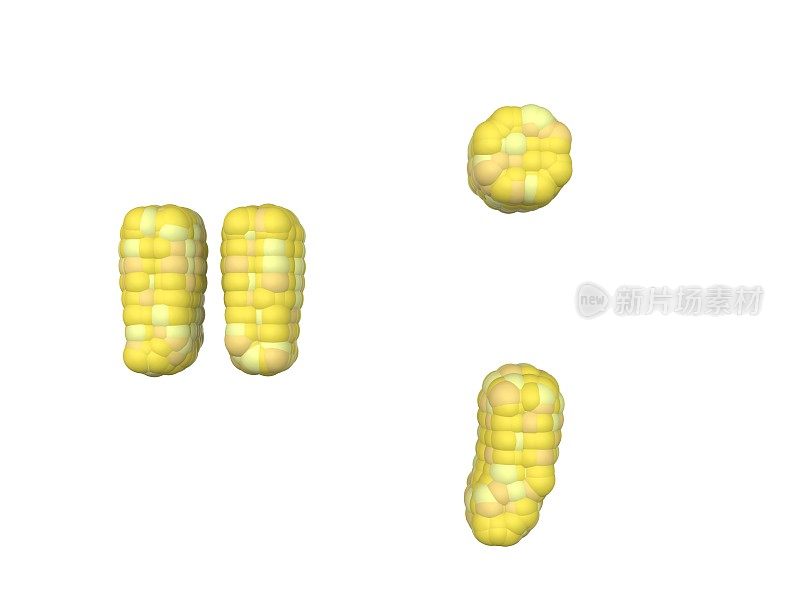 玉米主题字体，引号，逗号和句号