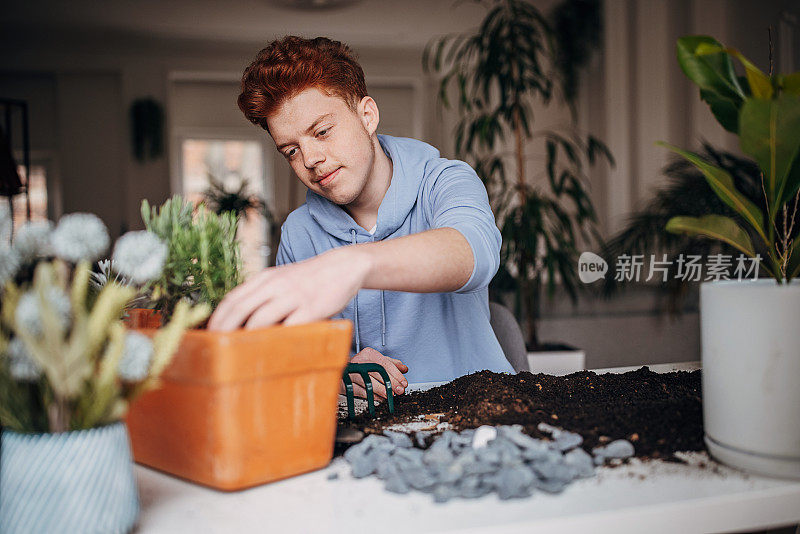 红发少年在家里种植室内植物