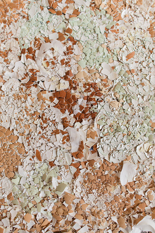 棕色和蓝色牧场饲养的鸡蛋壳，粉碎，被用作室内植物和户外花园的天然肥料的高钙来源