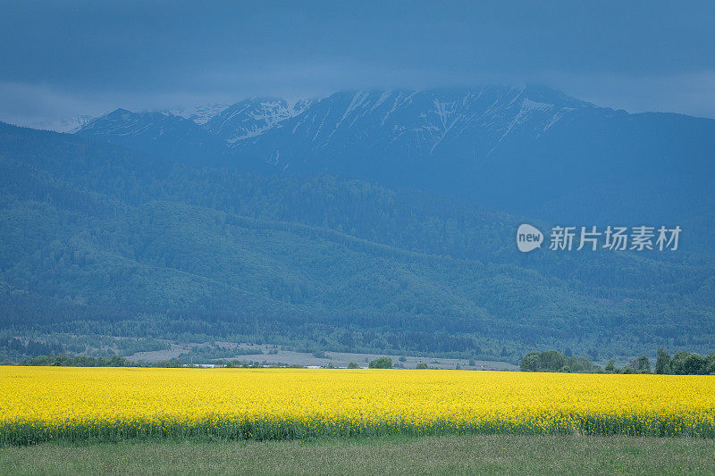 从农田俯瞰群山