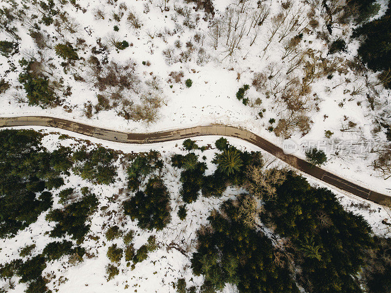 森林中道路的鸟瞰图，两侧有雪