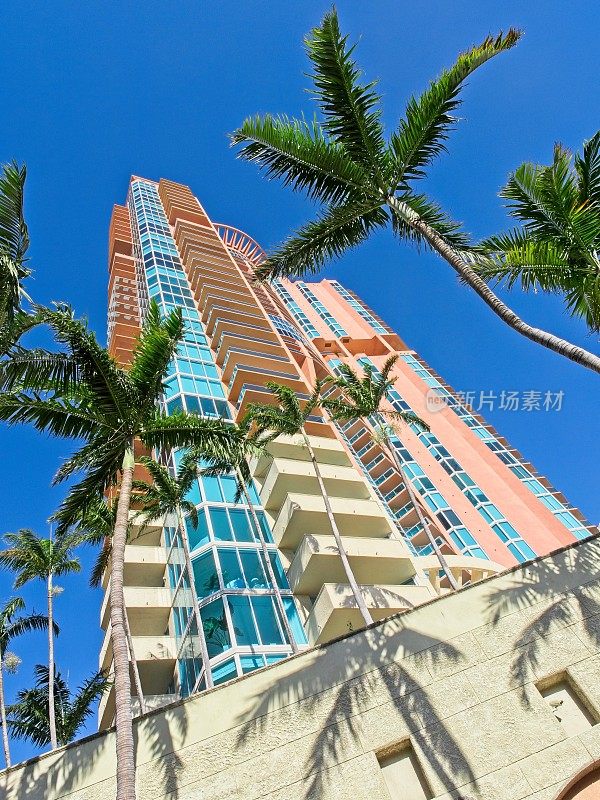 从车库俯瞰迈阿密海滩的公寓大厦，透过棕榈树