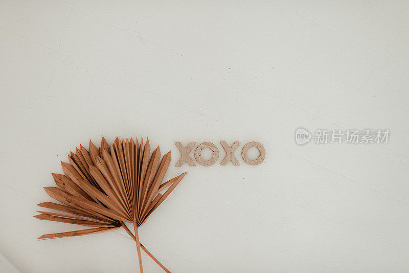 XOXO波西米亚字母在木地板与棕榈枝